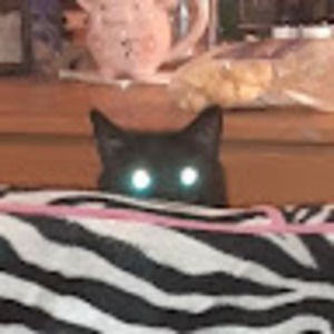 Meet your Posher, Will gray